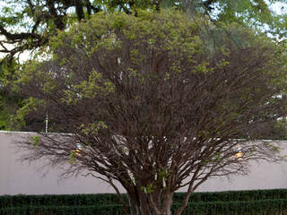 Alto de Pinheiros, Deborah Roig Deborah Roig Garden