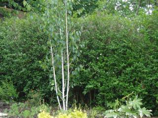 Low Maintenance Garden: A custom made curved willow screens and enlarging, screening from the sun, Cherry Mills Garden Design Cherry Mills Garden Design حديقة