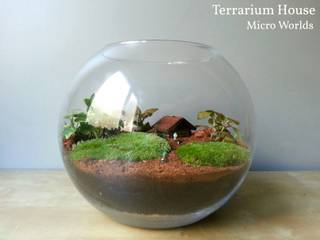 Kişiye Özel Tasarım Örnekleri, Terrarium House Terrarium House Modern Garden