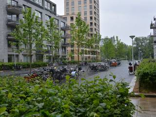 Andreas Ensemble Amsterdam, aksis landschapsarchitecten aksis landschapsarchitecten