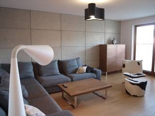 Apartament w Szczecinie, 4Q DEKTON Pracownia Architektoniczna 4Q DEKTON Pracownia Architektoniczna Salas de estar escandinavas
