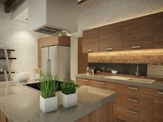 Eco Apartment in Tomsk, EVGENY BELYAEV DESIGN EVGENY BELYAEV DESIGN 廚房