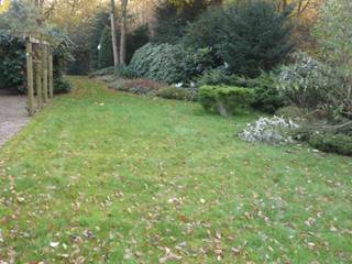 zwembad in tuin, alec bijlsma hoveniers alec bijlsma hoveniers