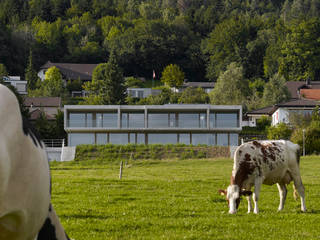 Doppelvilla am Jurasüdfuss, ern+ heinzl Architekten ern+ heinzl Architekten Minimalistische huizen