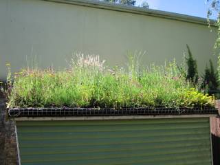 Small Green Roofs, Organic Roofs Organic Roofs Rustic style garage/shed