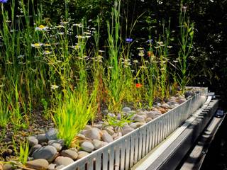 Commercial and public green roofs, Organic Roofs Organic Roofs Modern houses