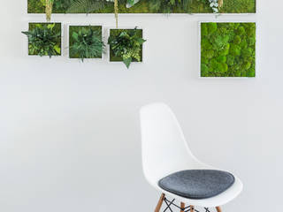 Vorstellung unserer Produkte: Pflanzen- und Moosbilder von styleGREEN, FlowerArt GmbH | styleGREEN FlowerArt GmbH | styleGREEN Interior garden Natural Fibre Multicolored