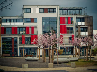 Grüne Lofts, planugsgruppe agsn architekten GmbH planugsgruppe agsn architekten GmbH บ้านและที่อยู่อาศัย