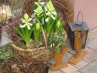 декор, Абрикос Абрикос Jardines clásicos Accesorios y decoración