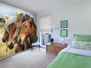 Beautiful Equestrian Wall Murals, Wallsauce.com Wallsauce.com Paredes y pisos rurales