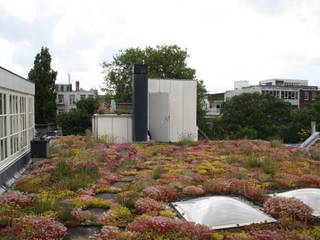 Keizersgracht, De Dakdokters De Dakdokters Giardino rurale