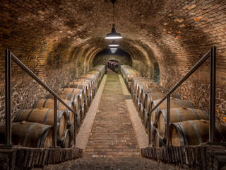 Weingut Wieninger - Wiederaufbau eines Weinkellers, Jahn Gewölbebau GmbH Jahn Gewölbebau GmbH Espacios comerciales