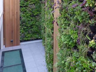 Notting Hill Living Wall, green zone design ltd green zone design ltd Modern Garden