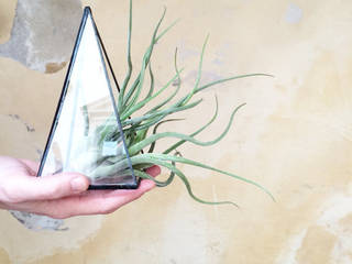 GEOMETRIC PYRAMID TERRARIUM, Expat Design Shop Expat Design Shop Minimalist style garden