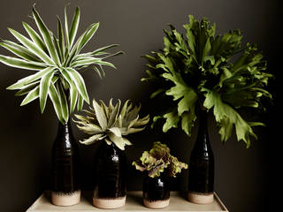 Faux botanicals Abigail Ahern حديقة داخلية تصميم مساحات داخلية