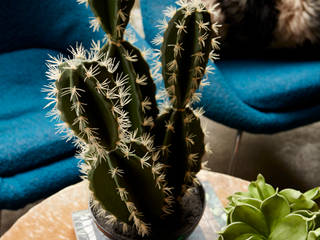 Sinai faux cactus Abigail Ahern สวนภายใน ตกแต่งภายใน