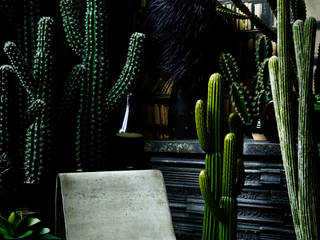 Abigail Ahern faux cactus collection Abigail Ahern Interior landscaping