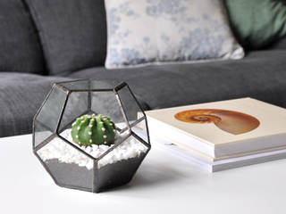 Terrario Dodecaedro, ZetaGlass ZetaGlass Modern Garden Glass Transparent Plants & accessories