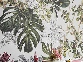 Seasons Wallpaper Collection, Sian Zeng Sian Zeng Paredes e pisos tropicais