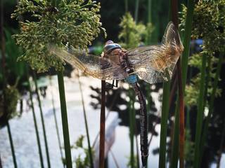 Let's jump into nature, suingiardino suingiardino Jardins campestres