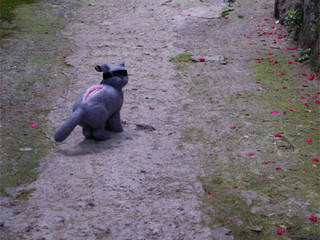 Beautiful Creatures, 2008, propandas propandas Mais espaços