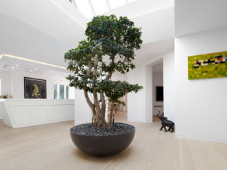 Zürich, Enge, Schmidt Holzinger Innenarchitekten Schmidt Holzinger Innenarchitekten Modern Corridor, Hallway and Staircase