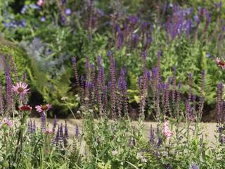 RHS Hampton Court Palace Garden Show 2010 - The Combat Stress Therapeutic Garden, Fi Boyle Garden Design Fi Boyle Garden Design Сад