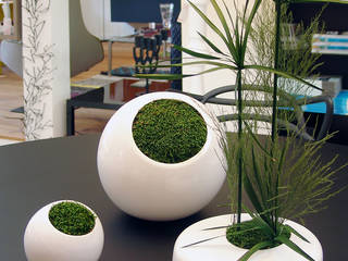 Design végétal, Adventive Adventive Comedores de estilo minimalista Blanco