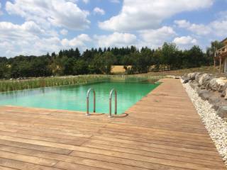 Naturpools, AquaNatur GmbH AquaNatur GmbH 모던스타일 수영장