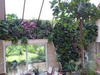 Végétaux naturels - Mur végétal intérieur (patio), Vertical Flore Vertical Flore Tropical style conservatory