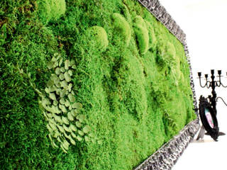 moss with plants design, rstudio rstudio Clínicas y consultorios médicos de estilo moderno