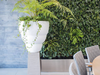 homify حديقة داخلية Interior landscaping