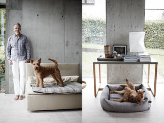 Living with your Dog, Cloud 7 Finest Interiors for Dogs & Dog Lovers Cloud 7 Finest Interiors for Dogs & Dog Lovers ห้องนั่งเล่น