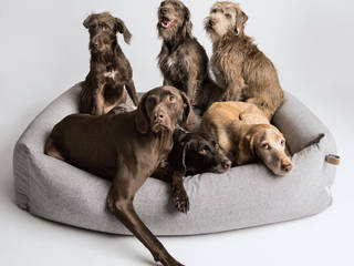Interior Dog Beds, Cloud 7 Finest Interiors for Dogs & Dog Lovers Cloud 7 Finest Interiors for Dogs & Dog Lovers Modern living room