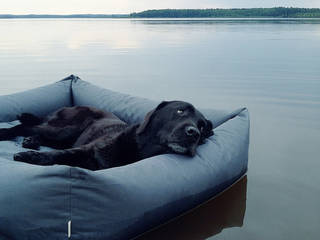 Outdoor Dog Beds, Cloud 7 Finest Interiors for Dogs & Dog Lovers Cloud 7 Finest Interiors for Dogs & Dog Lovers สวน