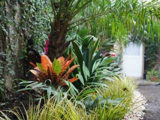 Jardín de Sombra, Estudio Nicolas Pierry: Diseño en Arquitectura de Paisajes & Jardines Estudio Nicolas Pierry: Diseño en Arquitectura de Paisajes & Jardines Tropical style garden