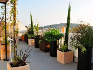 Terraza Balmes, ésverd - jardineria & paisatgisme ésverd - jardineria & paisatgisme Eclectic style balcony, veranda & terrace