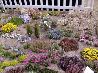Create a colourful alpine garden., Ice Alpines Ice Alpines クラシカルな 庭