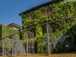 Transformação, Quadro Vivo Urban Garden Roof & Vertical Quadro Vivo Urban Garden Roof & Vertical