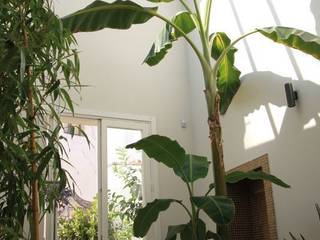 Giardino d'interno, otragiardini otragiardini Tropical style conservatory