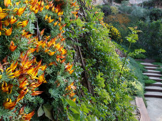 Jardín junto al mar, LANDSHAFT LANDSHAFT Mediterranean style garden