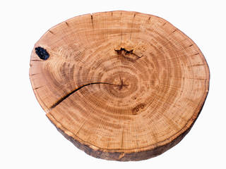 Stolik kawowy z drewna dębu - plaster. Onetree 8., Onetree Onetree Minimalist living room