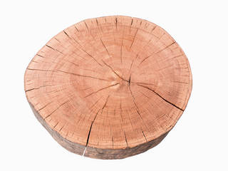Stolik kawowy z drewna dębu - plaster. Onetree 10., Onetree Onetree Minimalist living room