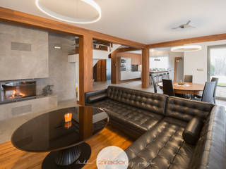 Meble do domu jednorodzinnego pod Krakowem, Zirador - Meble tworzone z pasją Zirador - Meble tworzone z pasją Modern living room