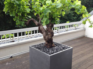 Image’In cubic planters with a patina of zinc imitation !, ATELIER SO GREEN ATELIER SO GREEN Patios & Decks