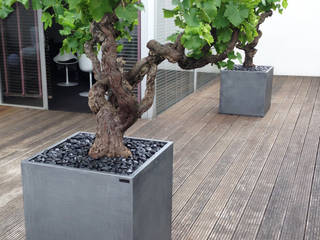 Image’In cubic planters with a patina of zinc imitation !, ATELIER SO GREEN ATELIER SO GREEN بلكونة أو شرفة