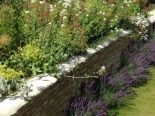 A Country Garden In Oxfordshire, Samantha Willis Garden Design Samantha Willis Garden Design Jardins campestres