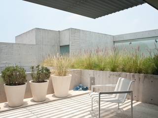 Calderón de la Barca 114, Gantous Arquitectos Gantous Arquitectos Modern terrace