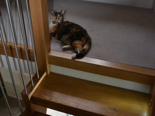 Newbold Farm. Newbold , Sovereign Stairs Sovereign Stairs Modern Corridor, Hallway and Staircase