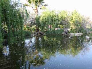 sihirli peyzaj, sihirlipeyzaj sihirlipeyzaj Tropical style garden